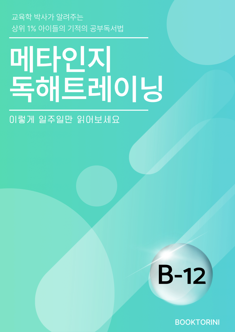 메타인지 B-12