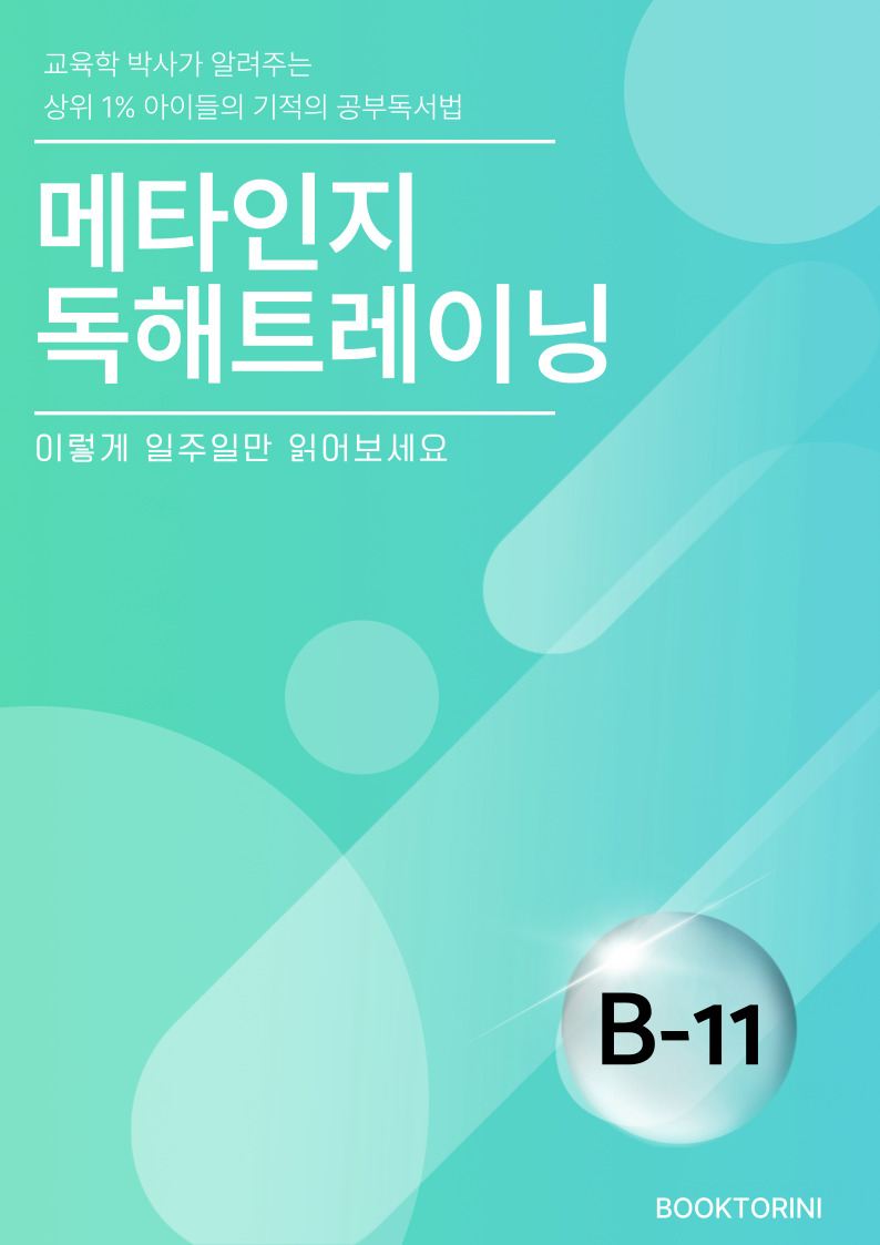 메타인지 B-11