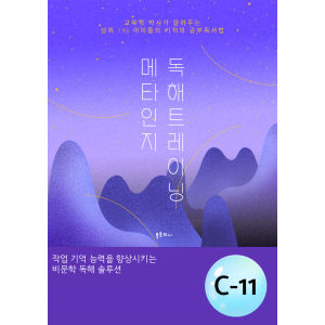 메타인지 C-11