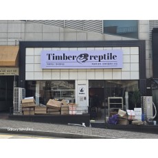 조명플렉스간판